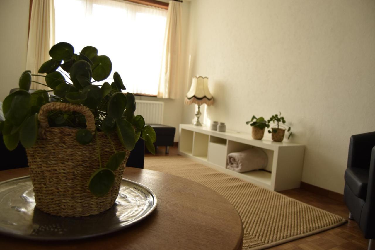 Vakantiewoning Wurfeldermolen Маасейк Экстерьер фото